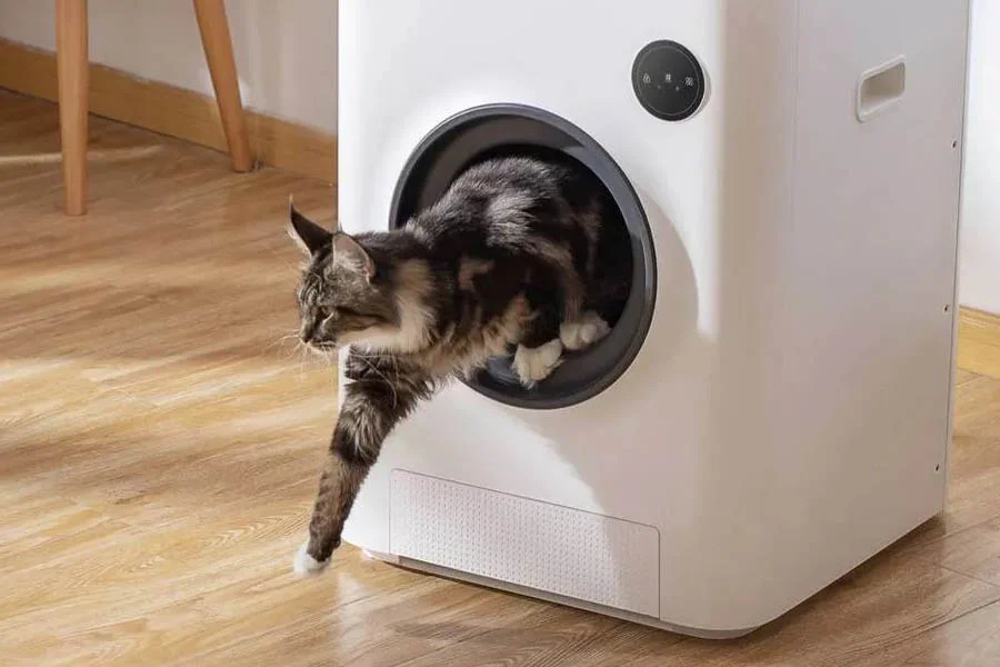 large litter box for multiple cats